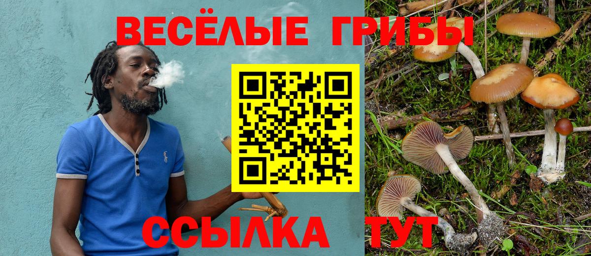 Галлюциногенные грибы GOLDEN TEACHER  Вход с VPN  Радужный  Галлюциногенные грибы MAGIC MUSHROOMS 