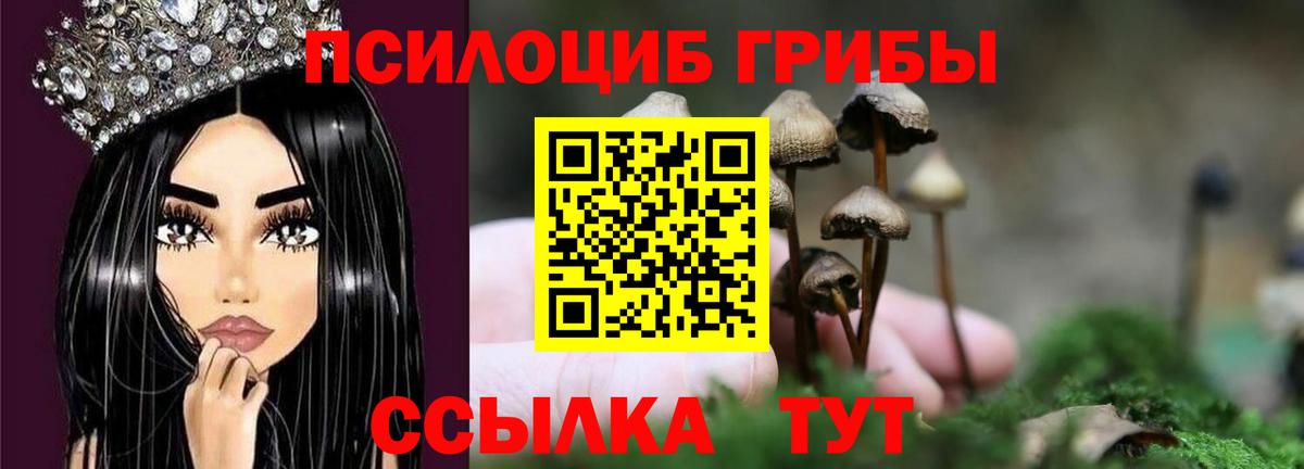 Галлюциногенные грибы мухоморы Радужный